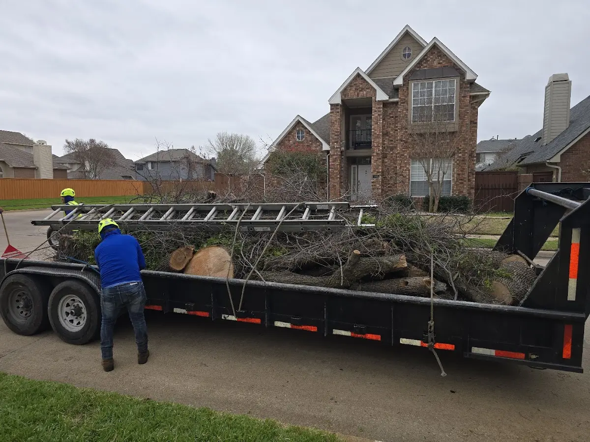 Expert Tree Fertilization with proper safety equipment in Sandy Hook